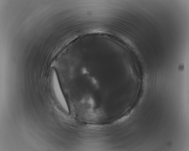 X0000114180825200910151658