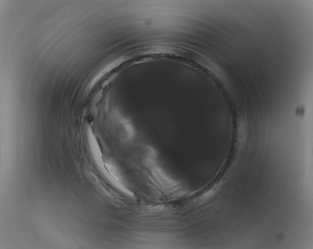 X0000114180826200910151658