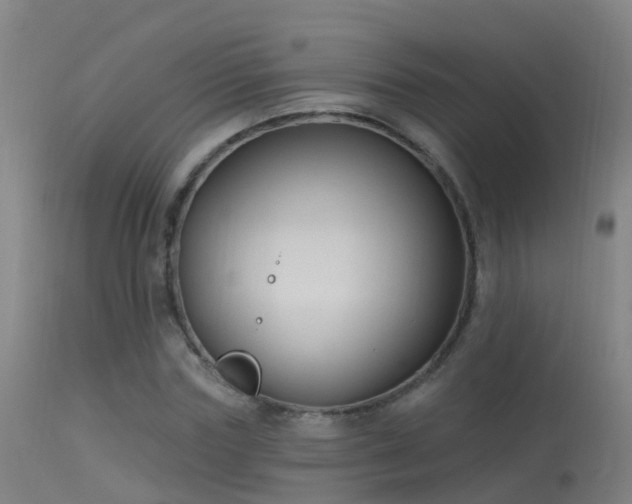 X0000114180827200910151658