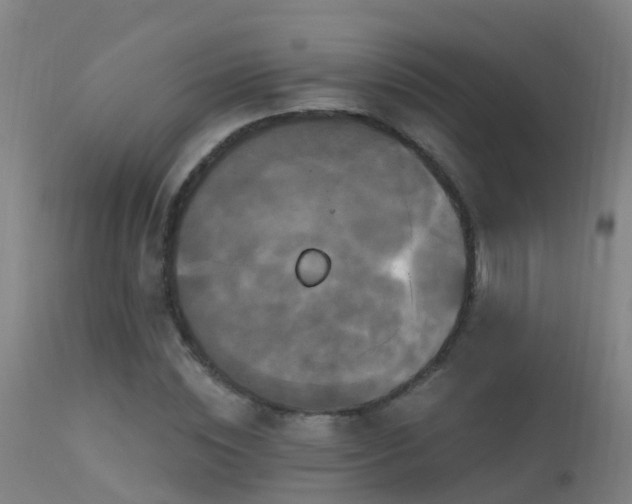X0000114180828200910151659