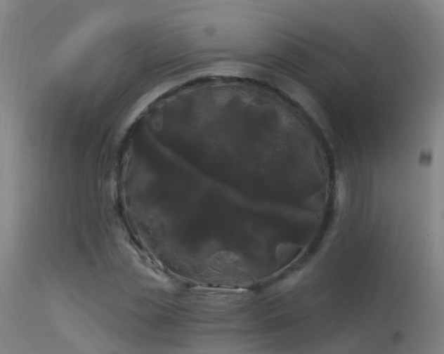 X0000114180829200910151659
