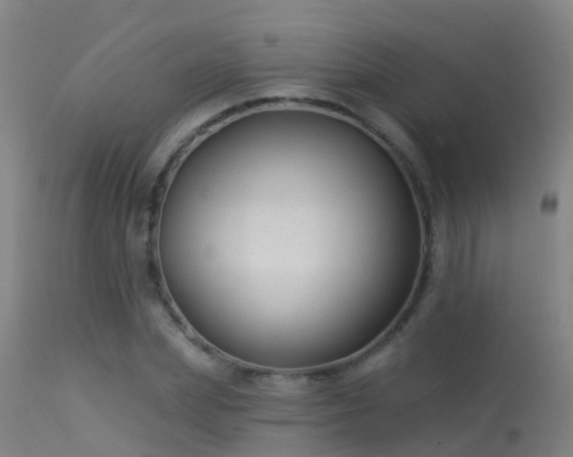 X0000114180831200910151659