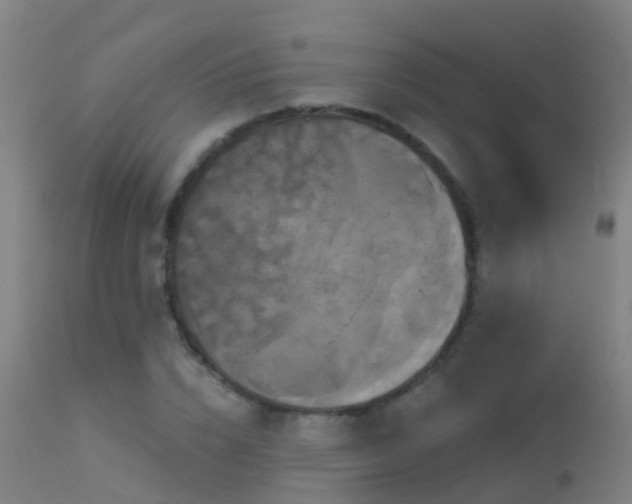 X0000114180832200910151659