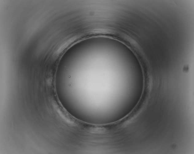 X0000114180833200910151659