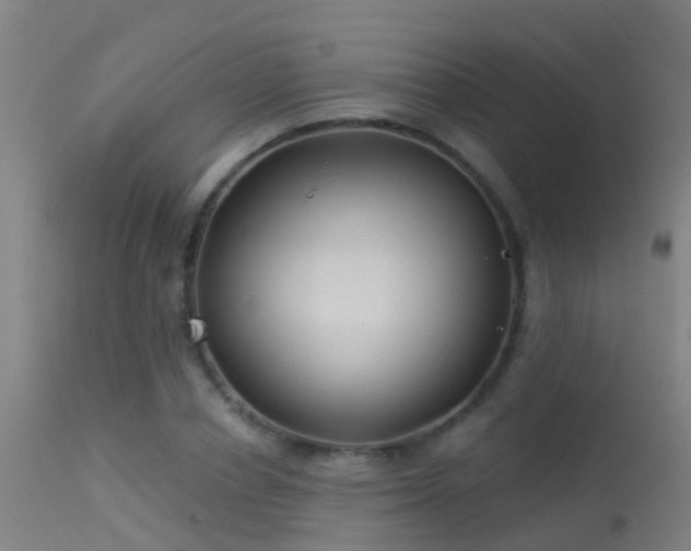 X0000114180834200910151659