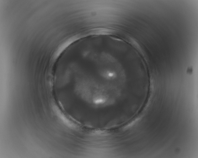 X0000114180835200910151659