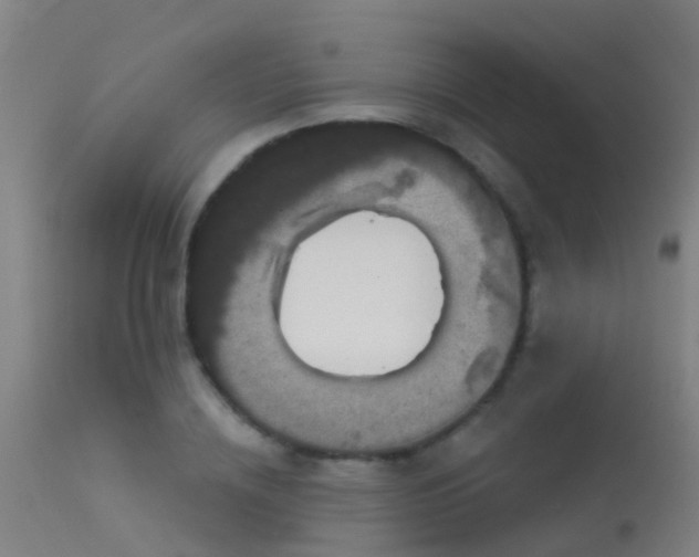 X0000114180836200910151659