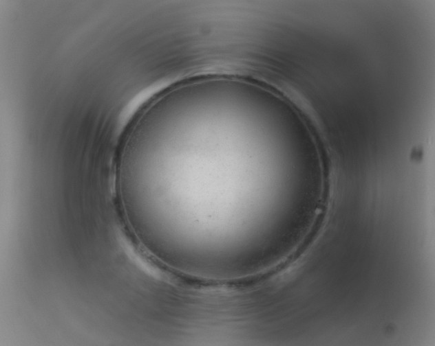 X0000114180838200910151659