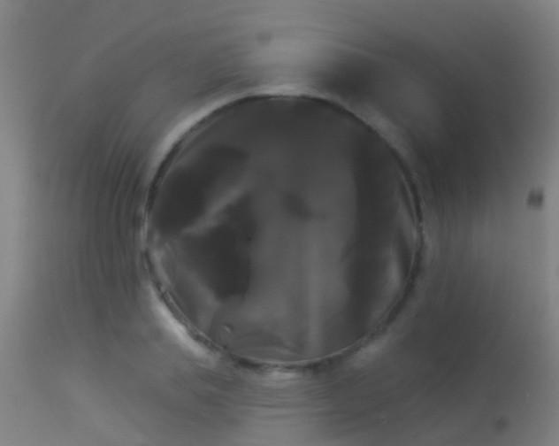 X0000114180839200910151659
