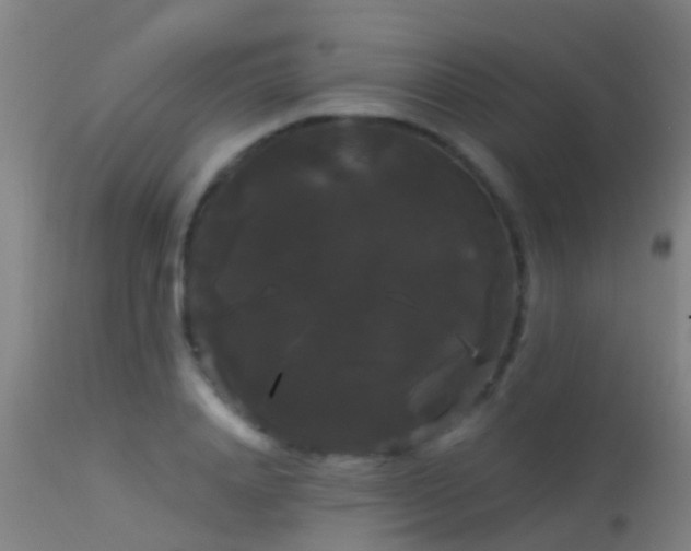 X0000114180840200910151659