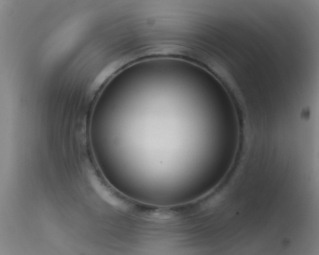 X0000114180842200910151659