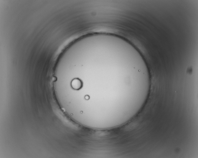 X0000114180848200910151659