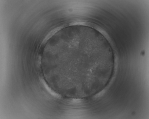 X0000114180849200910151659