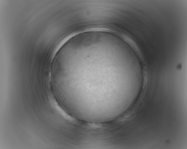 X0000114180852200910151659