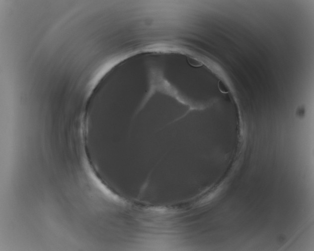 X0000114180855200910151659