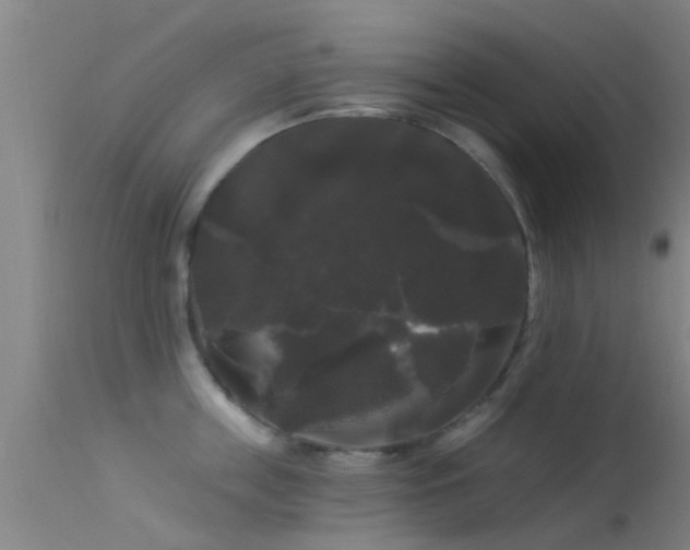 X0000114180859200910151659