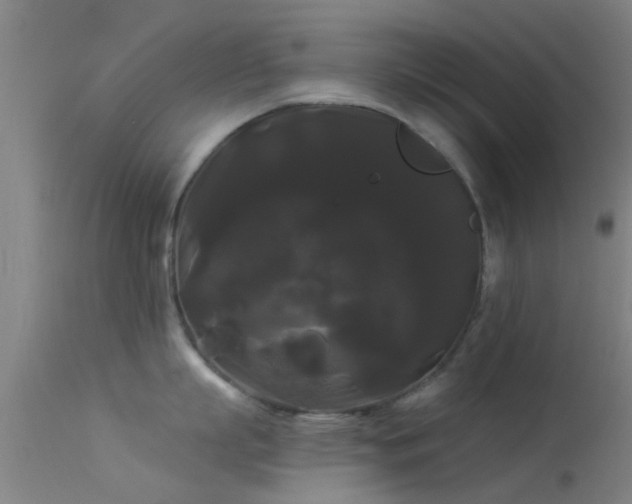 X0000114180863200910151659