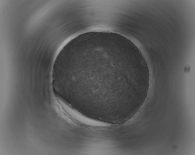 X0000114180864200910151659