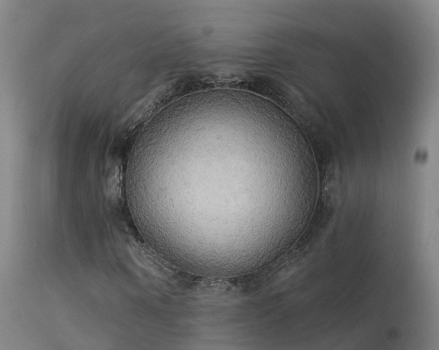 X0000114180866200910151658