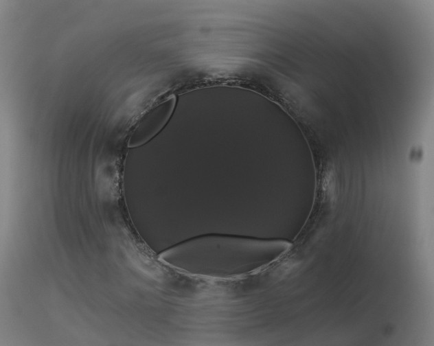 X0000114180868200910151658
