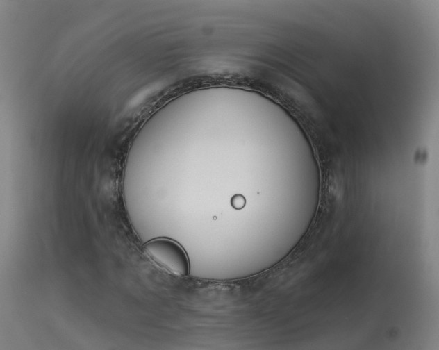X0000114180869200910151658