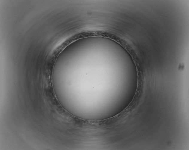 X0000114180871200910151658