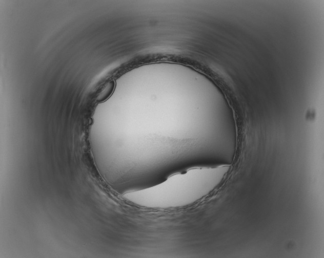 X0000114180872200910151658