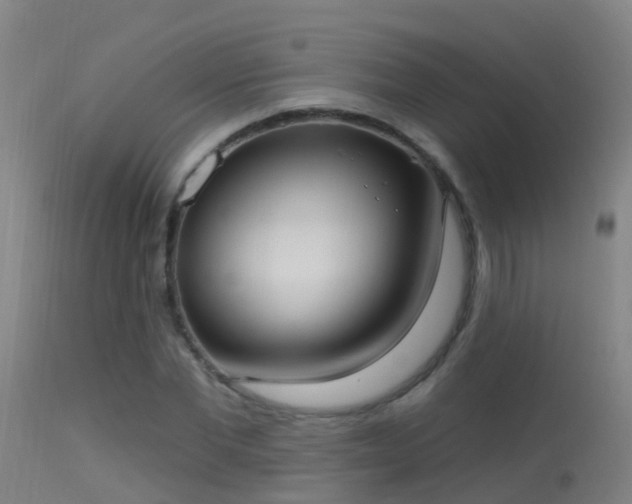 X0000114180877200910151658