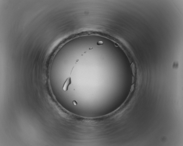 X0000114180878200910151658
