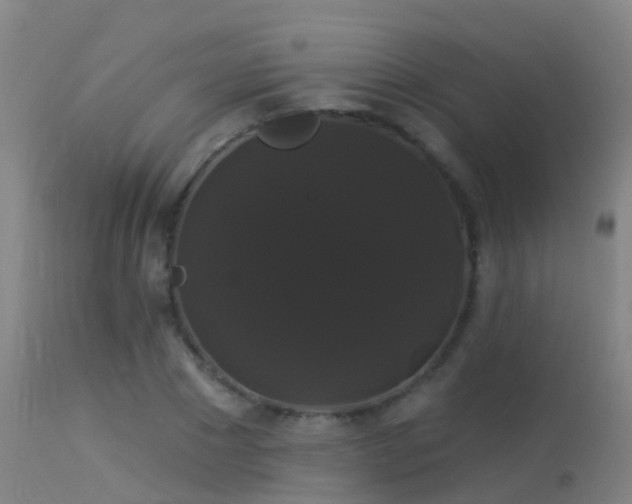 X0000114180881200910151658