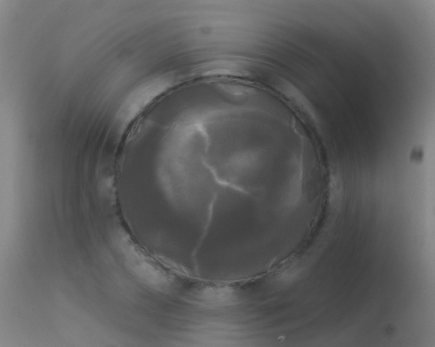 X0000114180882200910151658