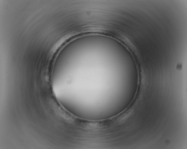 X0000114180883200910151658