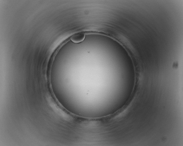 X0000114180884200910151658
