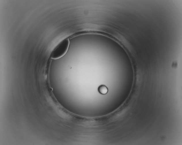 X0000114180885200910151658
