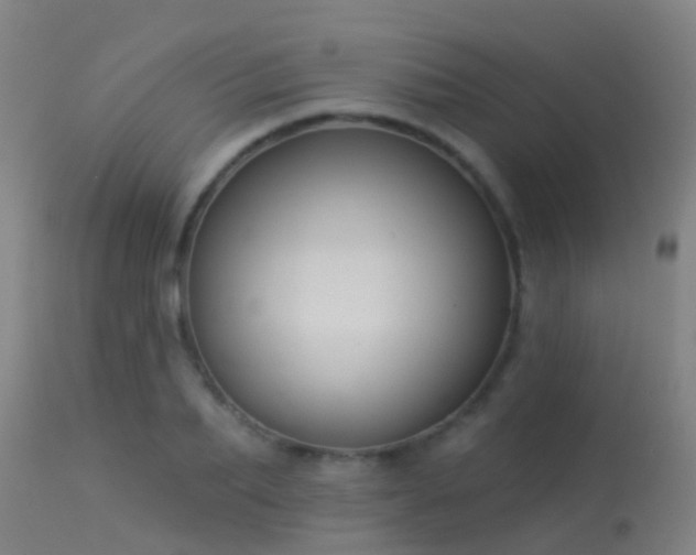 X0000114180887200910151658