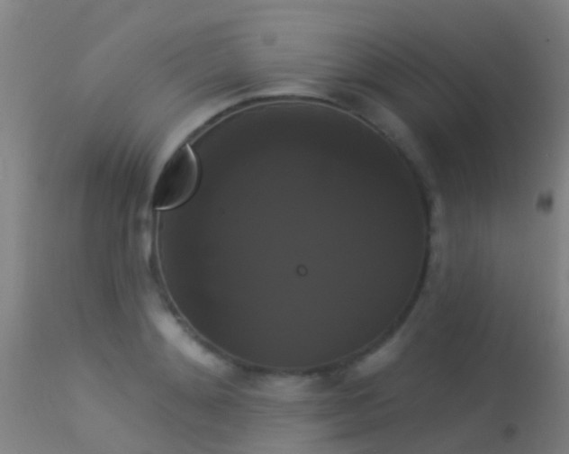 X0000114180892200910151658