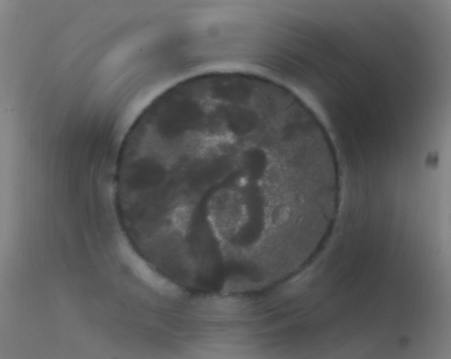 X0000114180895200910151658