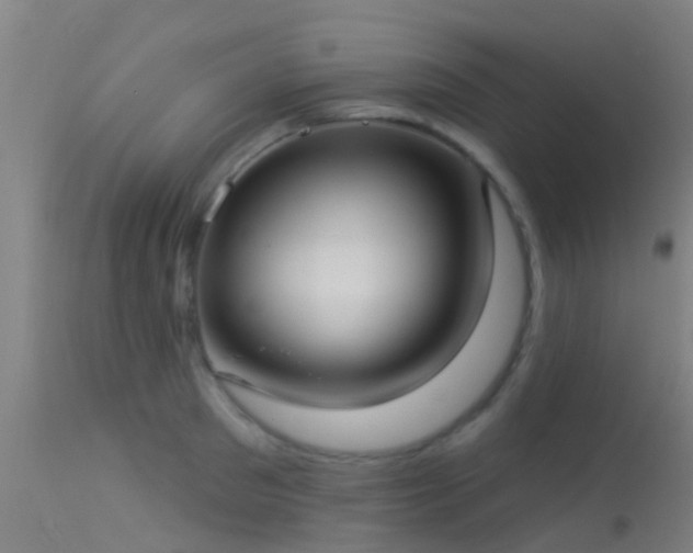 X0000114180897200910151658