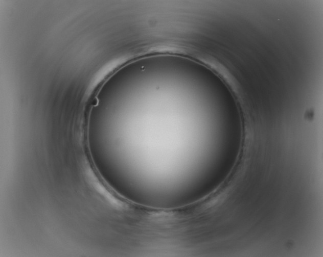 X0000114180902200910151658