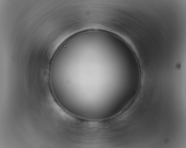 X0000114180903200910151658