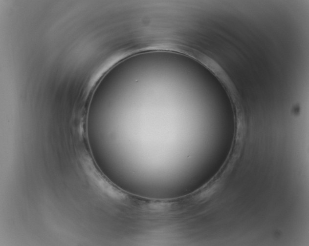 X0000114180908200910151657