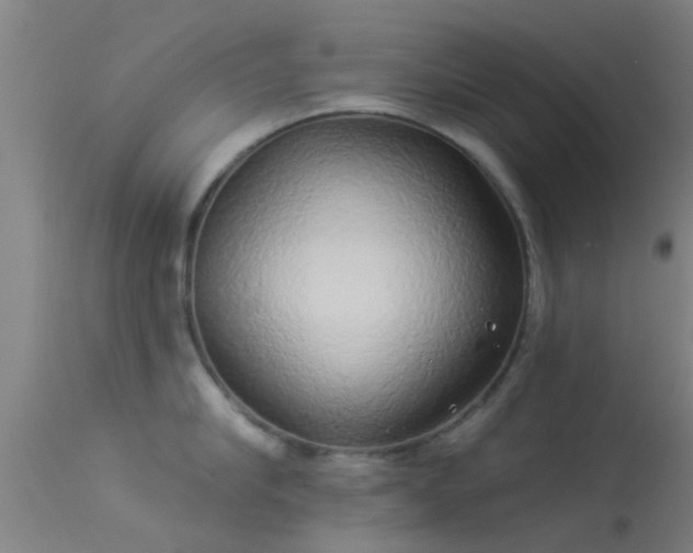 X0000114180910200910151657
