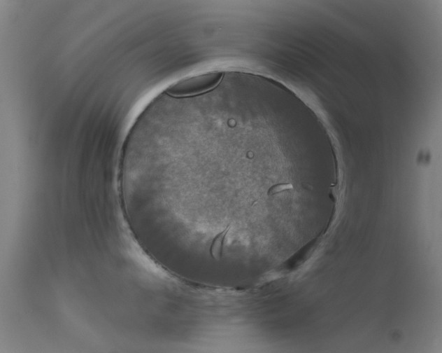 X0000114180912200910151657