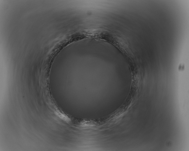 X0000114180913200910151656