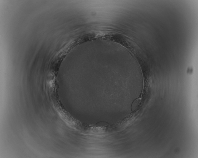 X0000114180914200910151656