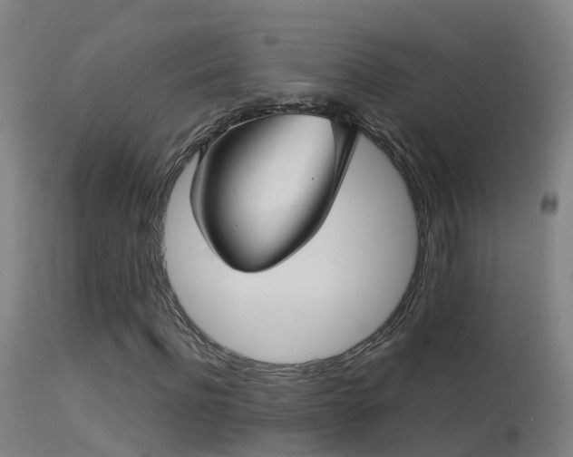 X0000114180916200910151656