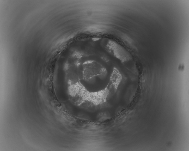 X0000114180917200910151656