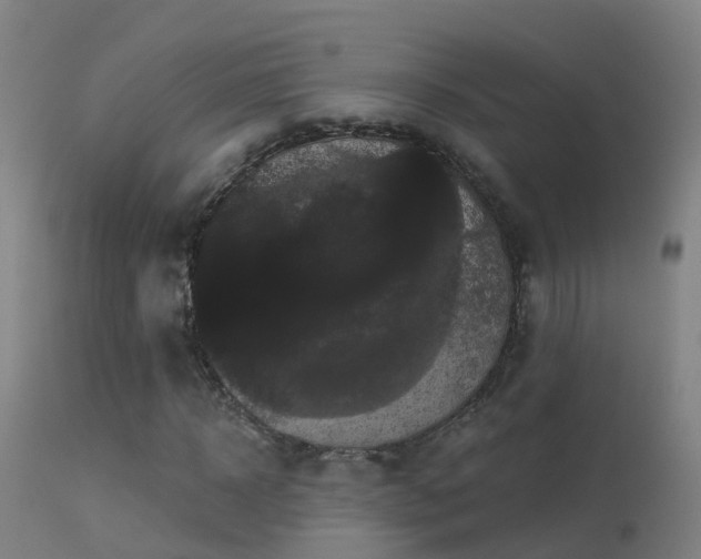 X0000114180918200910151656