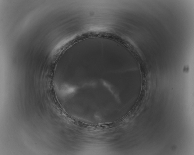 X0000114180919200910151656