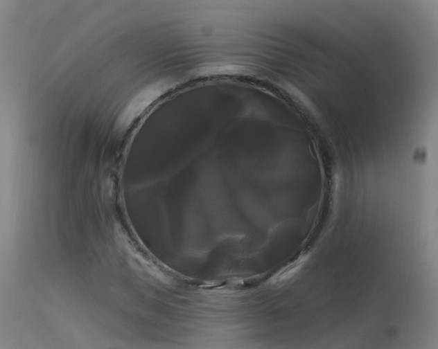 X0000114180921200910151657